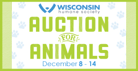 Auction for Animals